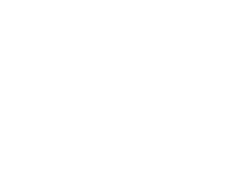 Flipifly